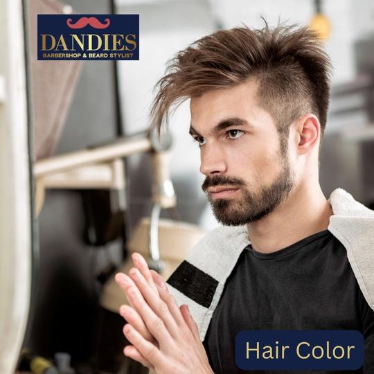 Men's Hair Color